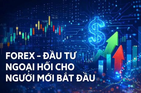 FOREX - ĐẦU TƯ NGOẠI HỐI CHO NGƯỜI MỚI BẮT ĐẦU